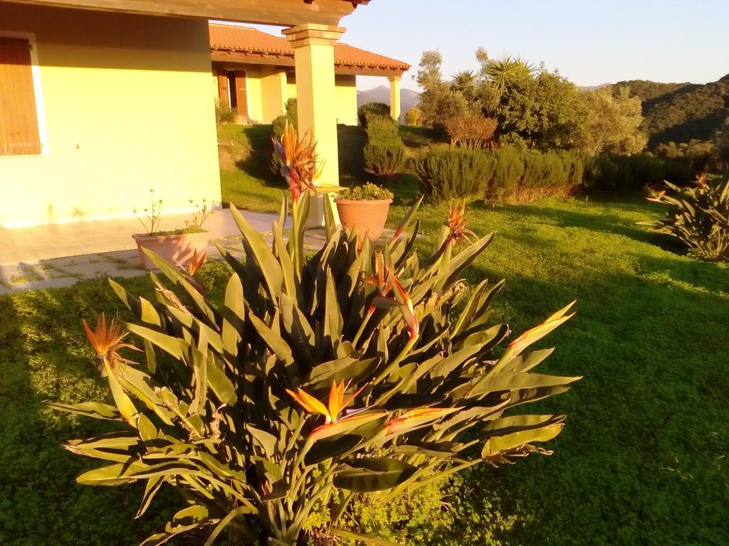 Majori Vila Fluminimaggiore Exterior foto